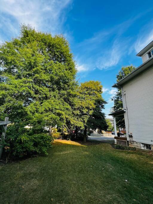 4 Bedroom Dc'S Best Location With Parking, Walk To Clarendon Metro, Shopping And Nightlife! Arlington Exterior photo